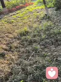 春天，很治愈的感觉❤️