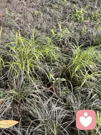 春天，很治愈的感觉❤️