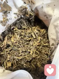 😴睡不好的看过来！
沉香枕头真的太香了[奸笑]
淡淡木香安神助眠，不刺鼻
颈椎舒服不压肩，翻身都安稳
自用舒服，送长辈也体面
现货，欢迎来找来验货❤️❤️
