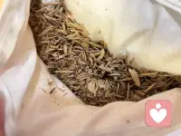 😴睡不好的看过来！
沉香枕头真的太香了[奸笑]
淡淡木香安神助眠，不刺鼻
颈椎舒服不压肩，翻身都安稳
自用舒服，送长辈也体面
现货，欢迎来找来验货❤️❤️