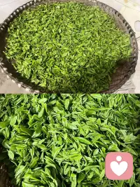 这些年给自己储存了那么多喜欢的茶叶，真是既满意又满足，今年的茶叶在我的努力下很高产哟🍵