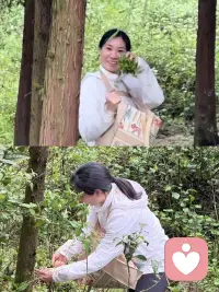 这些年给自己储存了那么多喜欢的茶叶，真是既满意又满足，今年的茶叶在我的努力下很高产哟🍵