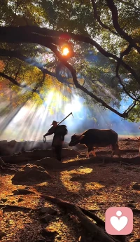 今天第一天，接了第一单咨询，线上咨询不比线下当面交流便捷，我只能不断重复叙述，直到对方确认。
很感谢你的支持，这位远方的朋友。
有缘我们再会。配图