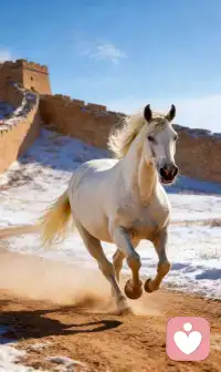 今天入驻平台第五天，
接了三个来访电话，
还有文字交流。
交谈问题中，
有信任，
有关心，
也有怀疑。
甚至有人说你们做咨询就是为了钱，
钱只是价值的一个体现，
可心灵的宁静，
生命的重启，
意识的唤醒，
这些是无价的，
也是你在外面得不到的！
愿所有的人都如马儿一样，
奔驰如风，来去自如！
愿你们都能回归本心，做回真我！配图