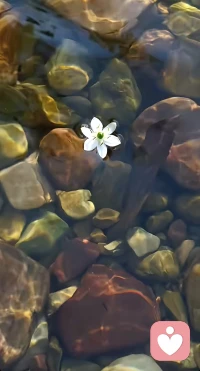 人 生最高境界，修聋，修哑，再修瞎。
不见闲言碎语，是修聋。说不出抱怨指责，是修哑。看不见是非恩怨，是修瞎。
别揪着他人过错不放，也别盯着生活裂痕难过。人无完人，事无完美，放过那些不如意，才能腾出眼睛，看见生命里真正的光。配图