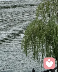 风是透明的河流，
水是流动的空气。
心是什么呢？
谁说说看！配图