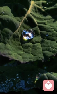 今日雨水💧水为财💰
马年正月初二逢雨水：
㊗️大家2026一切都
顺风顺水，顺心顺意，
福运满满，财源滚滚。

大年初二走亲访友，大家出入平安顾好脾胃！配图