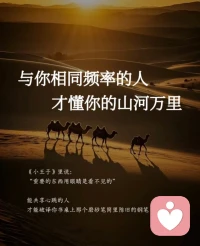 心很贵，一定要装美的事物；
情绪很贵，一定要见愉快的人。配图