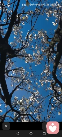 生命中的每一次选择，都如同在岔路口的驻足与前行，没有绝对的对错，只有不同的风景。当我们不再执着于“如果”，而是坦然面对“已然”，那些曾经的遗憾便会化作照亮前路的微光，指引我们迈出更坚定的步伐。记得当初的懵懂与冲动，如今回望已是宝贵的历练；曾经的迷茫与徘徊，如今想来皆是清晰的铺垫。每一段经历，无论顺遂与否，都是生命的养分，它们在时光的沉淀中，让我们从青涩走向成熟，从脆弱变得坚强。人生没有白走的路，每一步都算数。那些珍藏于心的成绩，是我们前行的底气；那些坦然接纳的遗憾，是我们成长的阶梯；那些从开始就后悔的选择，是我们成长独特的印记。配图