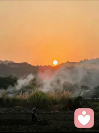 夕阳西下时，
余晖最暖人。
灶中有热饭，
门畔良人伴。配图