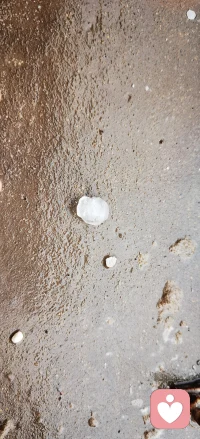 昨天下午瞬间天昏地暗，
两个小时左右连续下了两场冰雹。
这就和现在的人心一样，
变化莫测落差巨大。配图