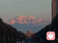 很多人把感情当成一种拥有。遇见一个喜欢人，就开始规划未来，爱上一个人，就开始设想一辈子。

关系一旦开始，你就下意识地抓紧，生怕哪一步走错了，生怕哪一天对方离开了。可活久一点就会发现，感情从来不是一件可以“握住的东西。你以为你是在经营关系，其实更多时候，你是在经历一段过程。

有人陪你走一段路，有人陪你翻一座山。有人教你温柔，也有人教你清醒。等路走完了，人自然就散了。很多人不甘心这一点，已经习惯的把离开理解成失败，把分开理解成不够努力。于是拼命地寻找理由：是不是不够合适，是不是不够爱，是不是自己哪里没做到位。

其实很多关系，从一开始就没有终点。不是谁错了，也不是谁不够好，只是那段同行的时间到了。人与人之间有一种很微妙的节奏，有些人刚好陪你走几年，有些人只能走几个月。你想把短途的旅伴留到终点，注定会痛苦。人总喜欢把相遇解释成命中注定，却很少接受离开也是命中注定。越亲密的关系，越像一面镜子。它不会只让你看到对方，也会逼你看见自己。

你的依赖，你的控制，你的恐惧，你的期待，都在关系里面放大。很多情路坎坷的人，其实不是总是遇错了人，而是你一直在同样的地方卡住。感情是最直接的修行场。配图