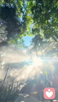 万物都在供养你
阳光从不问你是谁，照样温暖你；
雨水从不挑三拣四，照样滋润你；
大地默默承载，从不嫌弃你；
花草自然生长，只为给你一抹生机。
这世间所有的美好都在无条件供养着你、成全着你。
你从来都不缺爱，因为你本来就是爱本源；不必向外抓取认可，不必因一段关系一句评价一句冷落就否定自己消耗自己。你本就圆满，本就丰盛，本就值得。人间所有的经历，都是为了让你醒过来，好好爱自己