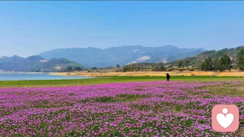 如何看待心理咨询中的无力感
