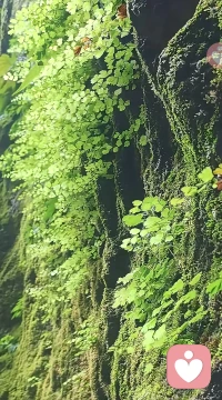 人生中许多东西，
都能靠努力去争取。
唯有遇到有情有义的
朋友和爱人，
需要一些运气！配图