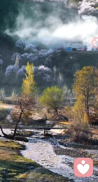 人间烟火气，
山居春生景。配图