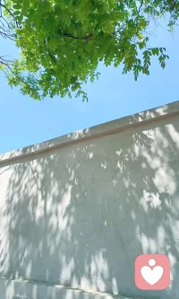 人生过的是心情，生活活的是心态，心态好一切都好……
        人必须有个好心情，没有好心情，就没有好日子，所以我们不能让心情生病……
         人身体之病疾，自己难医，人心情之病疾，必须自己医治，良药妙方只有一个，时刻保侍良好、积极、快乐、健康的心态！想开了就是幸福，想不开的就是痛苦……
        人生无非是个过程，顺其自然，随遇而安……
六时吉祥！配图