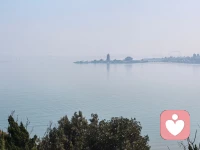 “世事一场大梦，人生几度秋凉”，淡淡落笔，道尽半生通透，瞬间抚平心底所有浮躁。苏东坡先生流传千年的词，从来不是消极的慨叹，而是阅尽山河、走过风霜之后，对人间世事最温柔的顿悟。世间万般奔波，功名利禄，爱恨得失，聚散离合，回头望去，大抵都像一场虚实交织的大梦。我们总在俗世里执着得失，纠结恩怨，为一朝荣辱辗转难眠，为一段离别耿耿于怀。顺境时春风得意，逆境里风霜满身，相聚时温暖圆满，离别时萧瑟凄凉。不纠结过往的遗憾，不焦虑未知的远方，看淡世事浮沉，接纳人生冷暖。人这一辈子，从来都是在大梦里清醒，在秋凉里从容。闲读书卷，不问世事纷扰，不问岁月风霜。配图