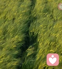 伴是一人一半相互成全，
侣是一人一口相濡以沫。
所爱所念，不过两三人。
你在意的，也在意你，就是圆满。配图