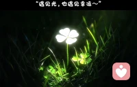 四叶草🍀的花语、一叶为希望，一叶为信念，一叶为真爱，一叶为幸运。配图