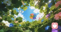“人们说三叶草的花语是幸福，四叶草的花语是幸运，
如果你是三叶草，那我便是你的第四片叶子，
我的意思是，遇见我你是很幸运的！”配图