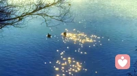 万物都在供养你，
阳光、雨水、花草，都在无条件爱着你。
你从来都不缺爱，只是忘了好好爱自己。配图