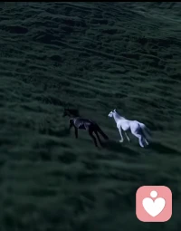 你迟到了很多年，
可我依然为你的到来而高兴。
能给你的不多，
一场相遇，一生铭记；
不负遇见，不谈亏欠。
别人再好，都与我无关；
你再不好，我都喜欢。
因为你是我毫无保留的一次深爱。
人间无趣，有幸有你。
一个人怕孤单，两个人怕辜负。
拥之则安，伴之则暖。
一辈子很长，
恰到好处的喜欢和偏爱最舒服。
你不用多好，我喜欢就好；
我没有很好，你不嫌弃就好。配图