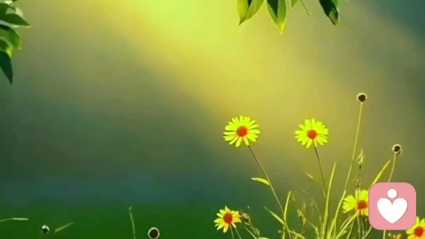 真正的疗愈