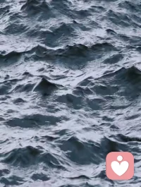 水是流动的山，
山是凝固的水。
观波涛汹涌，
听山峦叠障，
所见未所见，所闻未所闻，
如是亦如实！配图