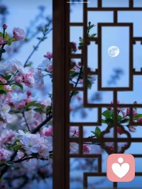 五月的最后一夜，我把溶着海棠香的夜色，
作为写给星河的情书，
她是树梢的那轮明月，
她是明媚灿烂的海棠，
她是照亮我整个五月的光！

海棠花淡月为香，
风抚半窗轻幽梦。配图