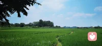 人到中年方才醒悟，幸福不必等以后。
别总盼来日方长，人生处处藏着世事无常，
活在当下，珍惜眼前人、手边饭，便是圆满。
🔻立即享受🔻不要等待，来日并不方长，抓住今天才是关键，活了一天就享受一天，享受不要推迟到明天。意外和明天不知道哪个先来。配图