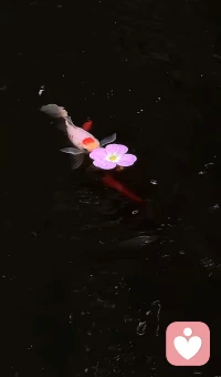 《竞渡歌·送高考学子》
烈日光寒透纸背，
少年意气干云锐。
磨穿铁砚十年功，
笔阵扫开千军垒。
雷动风驰过险滩，
鱼龙变化从今始。
长风破浪济沧溟，
金榜题名属我辈！