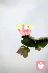 《高考赋》
岁在丙午，孟夏之末，四海息争，万方静尘。忽闻阊阖洞开，天子诏下，以此身之所学，应国家之抡选。于是九域书生，白衣卿相，皆负箧曳屣，望长安而云集。
观夫考场之内，肃若严霜。青衿济济，正襟危坐。目若朗星，气如虹霓。其始也，心如止水，神游八极；其继也，笔若游龙，墨洒烟雨。运风云于掌上，纳丘壑于胸臆。思接千载，视通万里。以一管之柔毫，敌百万之铁骑；凭方寸之素纸，筑万世之基业。
当其下笔琳琅，词源倒流。吐峥嵘之高论，开浩荡之奇篇。引经据典，不让班马；雕龙画凤，何惭屈宋？字字珠玑，掷地当作金石声；句句锦绣，凌云自有君子骨。此时无声胜有声，唯闻纸笔相激，如剑戟之相撞，似雷霆之崩裂。
若夫场外之亲，延颈企踵，焦灼以待。烈日灼肤而不觉，尘土染衣而未顾。其心也诚，其望也切。然堂上之子，岂为外物所动？盖因十年磨剑，霜刃未曾试；今朝出鞘，敢以此身为国器。
至若终场号响，门启如洪流。众学子释然而出，步履生风。无论成败，皆是英雄。得意者，不以物喜，知学海之无涯；失意者，不以己悲，悟天道之酬勤。
嗟乎！高考者，非独试之以文，实考之以志，验之以胆，成之以德也。一纸试卷，岂能定平生？然此番磨砺，足以壮筋骨，明心智，铸铁血之魂，以此立于天地之间。

吾乃作歌曰：

大风起兮云飞扬，

少年执戟戍边疆。

书山万仞何足道？

一笔安邦定四方！

以此勉诸君，前程万里，来日方长。