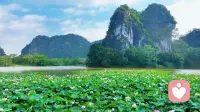 “若无执念在心头，人生何处不清欢”，
热情给值得的人，真心待懂你的人。
得不到的不强求，留不住的不挽留，往后，善待自己，便是余生最好的活法。配图