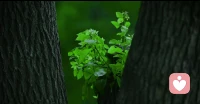人生就是不断离开的过程。只是出现在生命里的那些以缘分为由开始又结束的过客，都只能陪伴一段旅程。
无话不说的开始，无话可说的结束。渐行渐远的过程，也都相似，唯有时间长短不同。
不执拗于任何一段感情，亲情友情爱情都有终点，拥有的时候珍惜，消失的时候放手，好好说再见。得之我幸，失之我命，人生常态，无需患得患失。配图