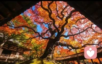 生活是自己的，最美的日子是你心中的那份宁静与喜悦； 找到适合自己的活法，活出自己想要的样子，才是对生命最好的尊重……
        人生只有一件事：用自己喜欢的方式，过好这一生；天气多变，但心情可以自己掌控……
        无论阴晴雨雪，给自己的内心留一片晴朗的天空；无论春夏秋冬，让心灵的花园永远鸟语花香； 乐观，是生活的阳光……