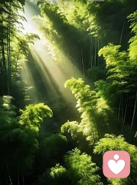 “能懂同一种美的人，往往内心是相通的，精神上对等，才能彼此看见。”
愿大家2026年越来越好，事事如意顺意！