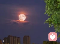 人生只有一次，时光也不会倒流，这个世界我们只来一次，百年之后，没你也没我……
         拼搏一生，带不走一砖一瓦，执着一生，带不走一丝爱恨情仇……
          人生苦短，吃自己想吃的饭，见自己想见的人，看自己喜欢的风景，做自己喜欢的事……
         人生本来就是一次减法，来日并不方长，在无法重来的人生里，请好好爱自己，更要照顾好自己的身体……配图