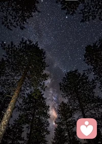 靠谱的人就像下雨的伞、天黑的灯，无论我看与不看，它都在那里，而我需要他时，他随时都在……
        也许，聪明的人走得快， 但是，靠谱的人走得更远……
        人生路上，处处险滩， 能与靠谱的人在一起， 就是我最大的福气……
        余生不长，一定要和靠谱的人同行；余生醒悟，一定要和靠谱的人同步……