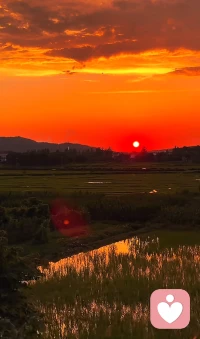 人生啊，就两个字 Be water,my friend.
清空你的思绪。无形，无状，如水一般。
置水于杯，则成杯之形；
置水于瓶，则成瓶之形；
置水于壶，则成壶之形。
水能潺潺流淌，亦能汹涌冲击。
朋友，像水一样吧。