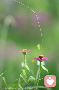 上天给什么，就享受什么。
上天拿走什么，就放弃什么。
命运，没空搭理我们，那就做好自己！
从此风吹哪页读哪页，哪页不懂撕哪页。
且行且看，且随风。