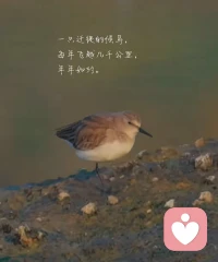 人生如棋，落子无悔，每一步都是成长的印记……
         别怕走弯路，因为最美的风景，往往就在转角处……
        不是所有的坚持，都能立即看到结果，但请相信，时间会给出最好的答案……
        晨光中，带着微笑出发，让心灵自由飞翔，不为往事忧，只为余生笑……