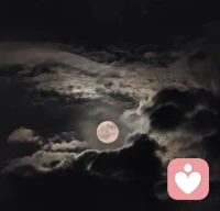 世间至亲，皆为因缘相逢。 
父母见你的皮囊，不见你心底的沧桑；伴侣见你的朝夕，不见你过往的跌宕；儿女见你的当下，不见你一路走来的伤痕与执念。
众生皆活在各自的妄念之中，无人能照见完整的你。
旁人所见，不过是因缘投射出来的一角，你的悲欢、过往、隐秘，唯有自心全然知晓。不必向外渴求全然懂得。向外求懂，便是烦恼之根。
唯有向内观照，善待本我，接纳自身的残缺与过往。
自爱，便是自渡，可抵世间万般业苦。