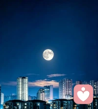 世间至亲，皆为因缘相逢。 
父母见你的皮囊，不见你心底的沧桑；伴侣见你的朝夕，不见你过往的跌宕；儿女见你的当下，不见你一路走来的伤痕与执念。
众生皆活在各自的妄念之中，无人能照见完整的你。
旁人所见，不过是因缘投射出来的一角，你的悲欢、过往、隐秘，唯有自心全然知晓。不必向外渴求全然懂得。向外求懂，便是烦恼之根。
唯有向内观照，善待本我，接纳自身的残缺与过往。
自爱，便是自渡，可抵世间万般业苦。