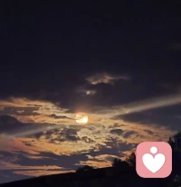 世间至亲，皆为因缘相逢。 
父母见你的皮囊，不见你心底的沧桑；伴侣见你的朝夕，不见你过往的跌宕；儿女见你的当下，不见你一路走来的伤痕与执念。
众生皆活在各自的妄念之中，无人能照见完整的你。
旁人所见，不过是因缘投射出来的一角，你的悲欢、过往、隐秘，唯有自心全然知晓。不必向外渴求全然懂得。向外求懂，便是烦恼之根。
唯有向内观照，善待本我，接纳自身的残缺与过往。
自爱，便是自渡，可抵世间万般业苦。