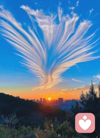 许多人都喜欢推卸责任，
甚至于迁怒于人，
这根本就解决不了问题，
恰恰是最懦弱无能的表现，
所以永远只能重复过去的痛苦，
生活在轮回中。
睁眼看着自己逐渐腐烂死去，
却幻想着自己是最美最好……