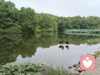 世界上最遥远的距离，是心与心的隔阂；最近的距离，是灵魂与灵魂的共鸣。
配图