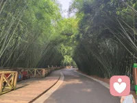 把烦恼清空，把温柔装满，日子自会温柔发光。配图