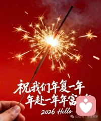 一元复始，旭日始旦。感谢您过去一年的信任与支持，祝您元旦快乐，新的一年健康平安，阖家欢乐，福气满满！配图
