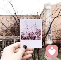 所有人和事，自己问心无愧就好，不是你的也别强求，反正离去的，都是风景，留下的，才是人生。